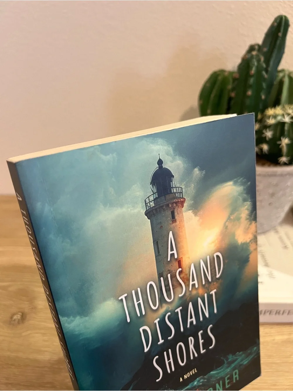 A Thousand Distant Shores Buck Turner Paperback 2025 Contemporary Romance